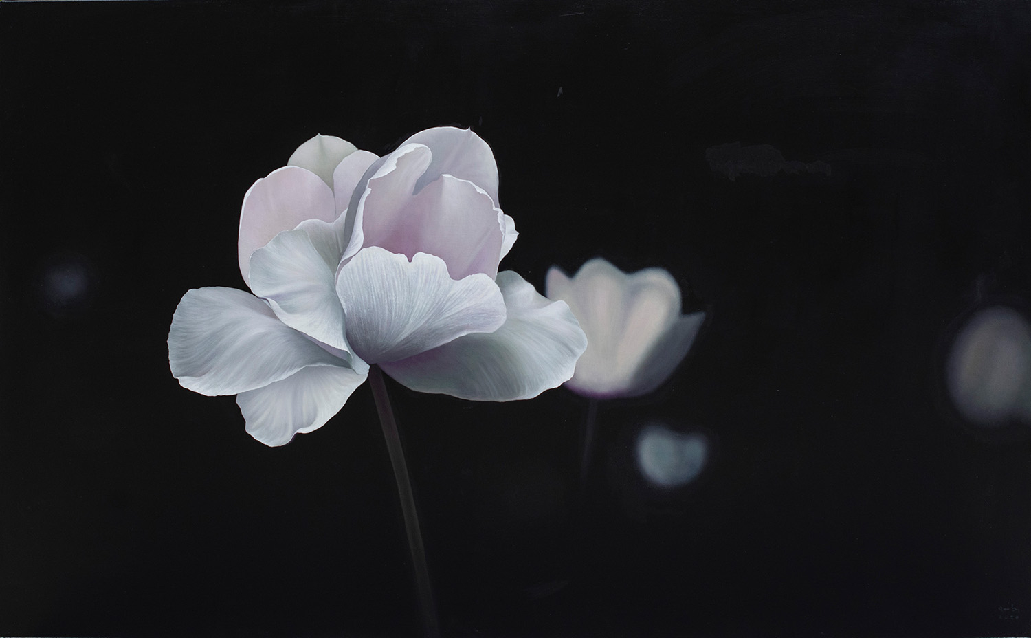 Why do I know that this is a white flower | Oil on canvas | 170 x 105 cm